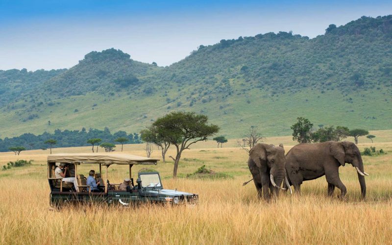 Why your next trip should on to a wild life Penwell safari?