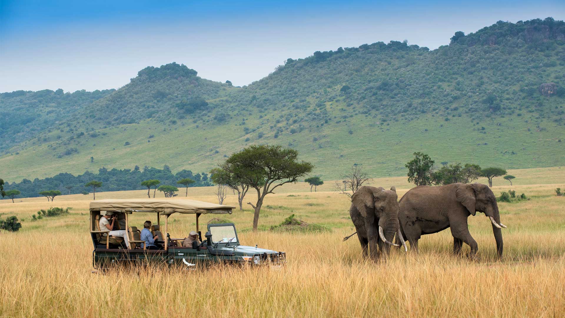 Why your next trip should on to a wild life Penwell safari?